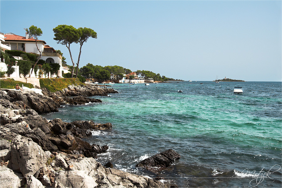 Foto von Mallorca Alcudia