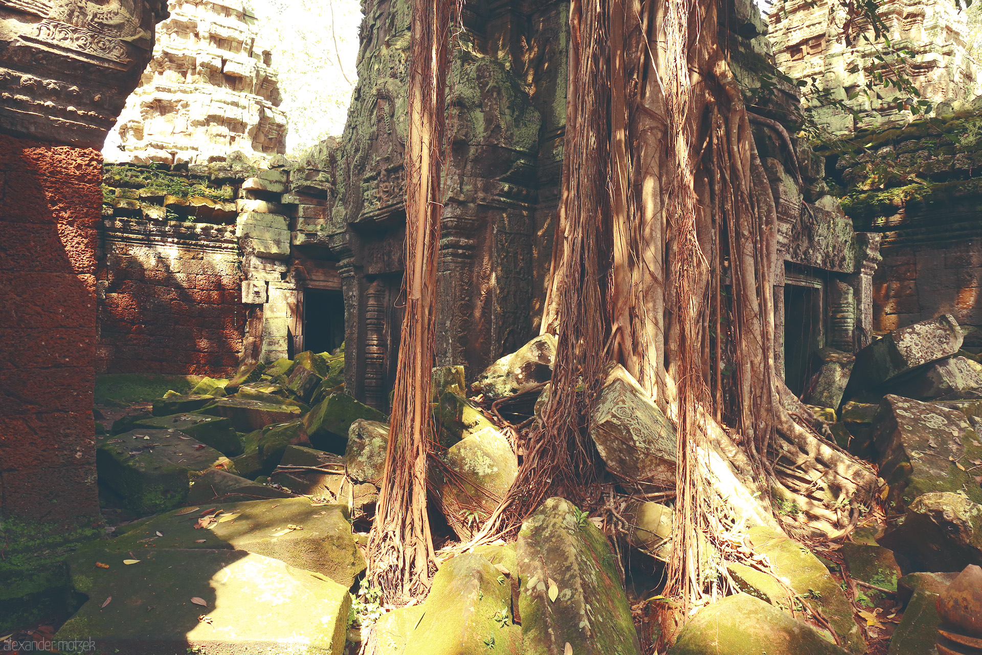 Foto von Massive tree roots entwine the ancient ruins of Angkor Wat, Siem Reap—nature and history converging in sun-dappled harmony.
