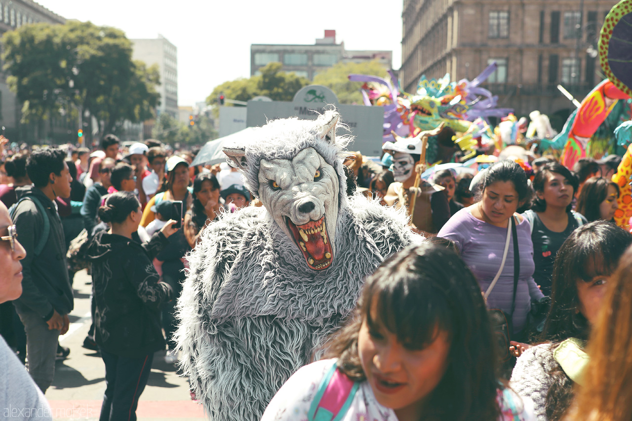 Foto von A person in a wolf costume stands out in a bustling crowd in Cuauhtémoc, Mexico City.