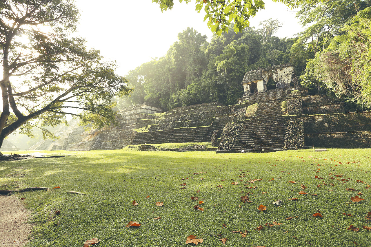 Foto von Ancient Maya ruins rise among lush greenery in Palenque, the morning light casting mystical shadow.