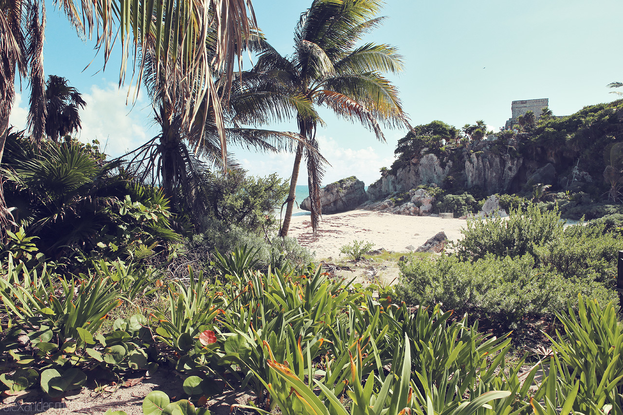 Foto von Lush flora frames Tulum's ancient ruins and pristine beach, marrying history with tropical serenity.
