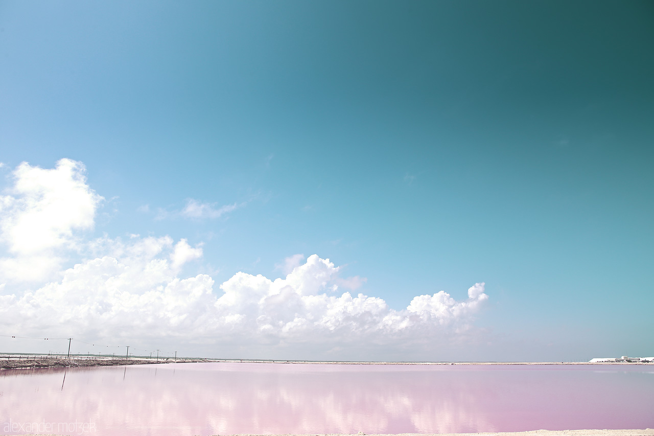 Foto von Stark contrasts over Rio Lagartos' pink salt lakes with a piercing blue sky