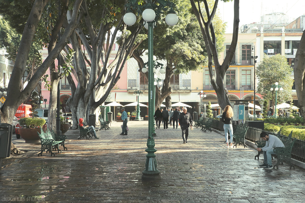Foto von Sunlit Puebla plaza lined with historic buildings and lush trees, bustling with daily life.