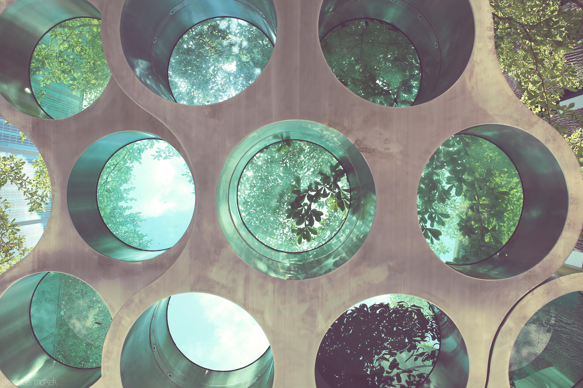 Foto von Gazing through circular skylights in Miami, where urban architecture meets the lush embrace of tropical greenery.