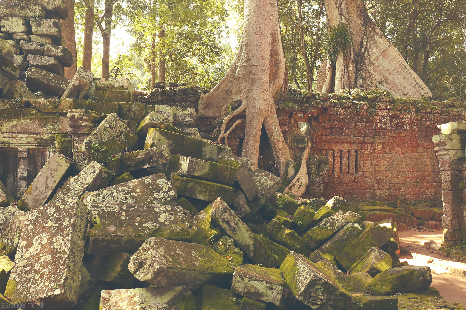 Foto von Mossy stones toppled by time, ancient roots entwine Ta Prohm’s ruins at Angkor Wat, Siem Reap, Cambodia.