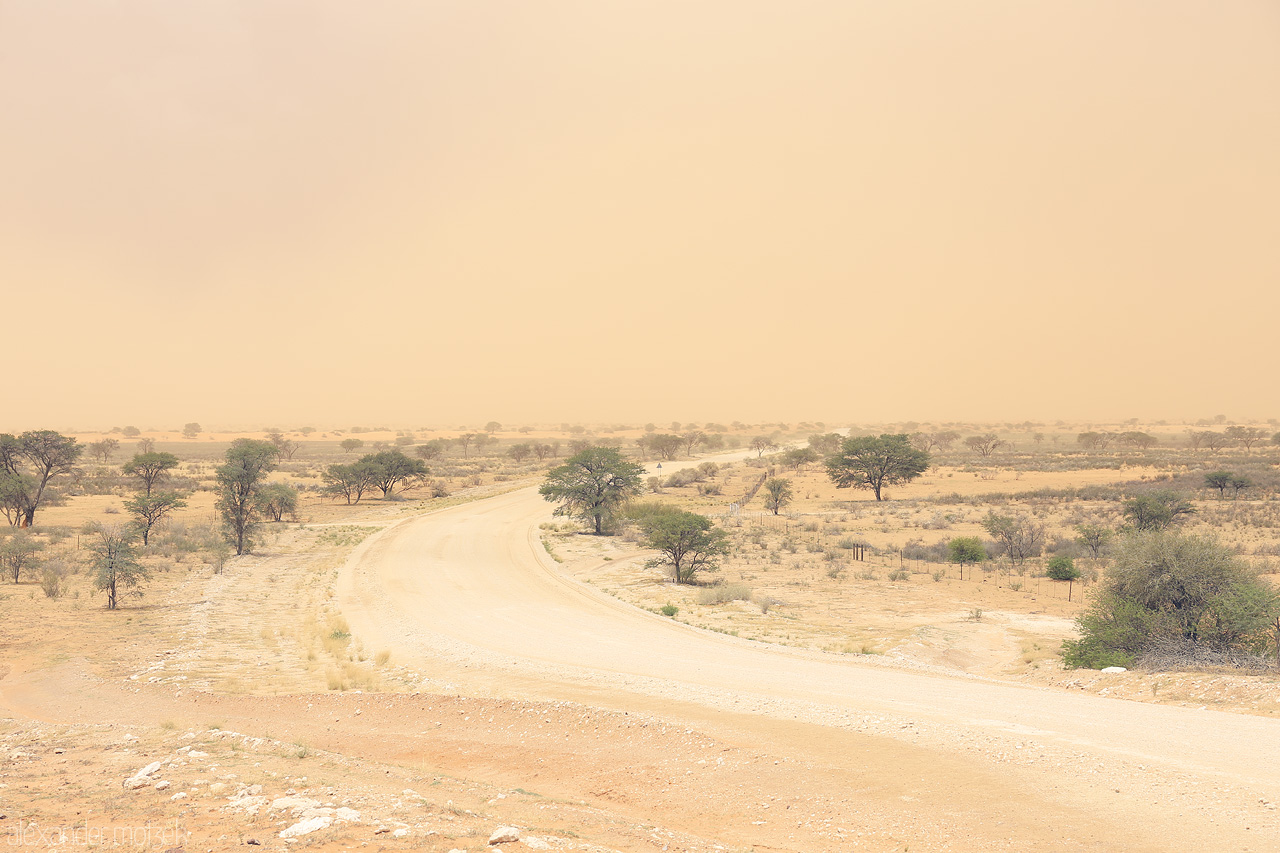 Foto von A dusty road winds through the tranquil Namibian savanna near Hoachanas, adorned with acacia trees lining the path towards the red Kalahari desert.