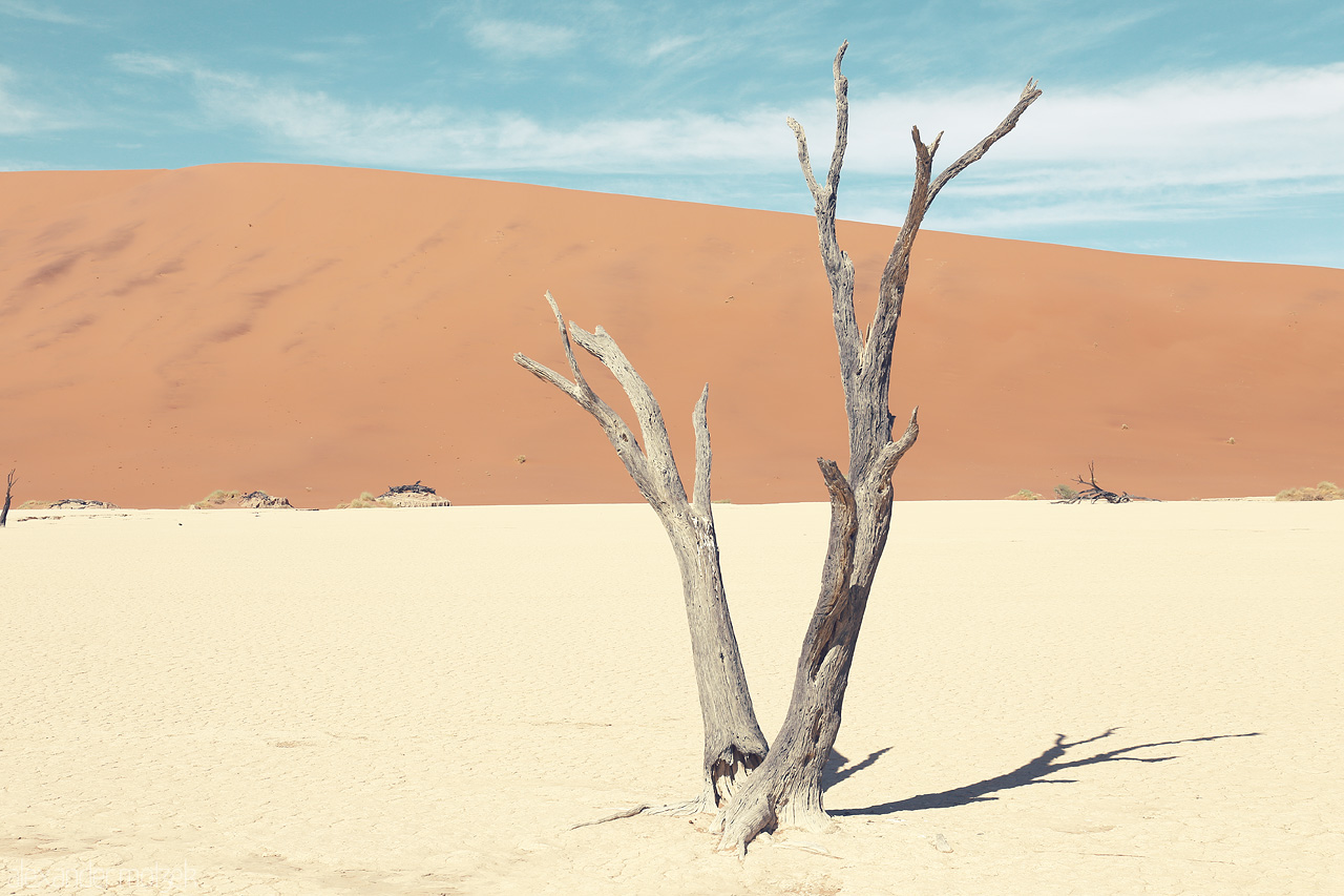 Foto von A lone, weathered tree stands against Sossusvlei's daunting sand mountains.
