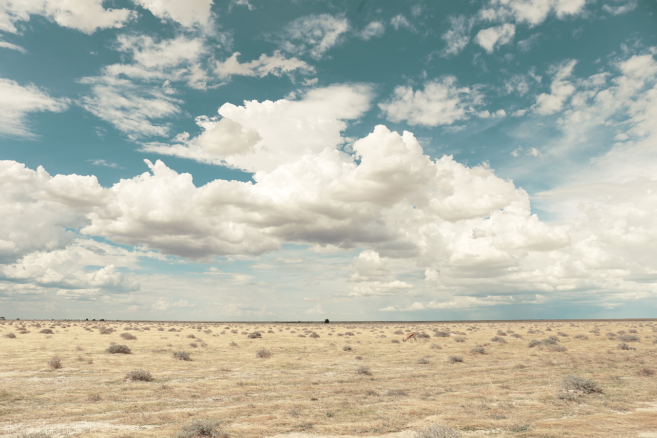 Foto von Expansive view of Etosha's plains under a dramatic sky, hinting at its wild, untouched essence.
