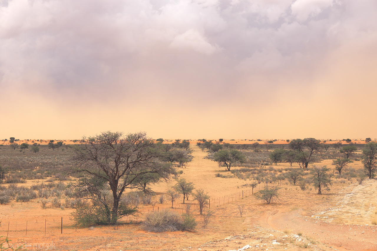 Foto von Savannah under stormy skies near Hoachanas, Namibia, with acacia trees dotting the landscape.