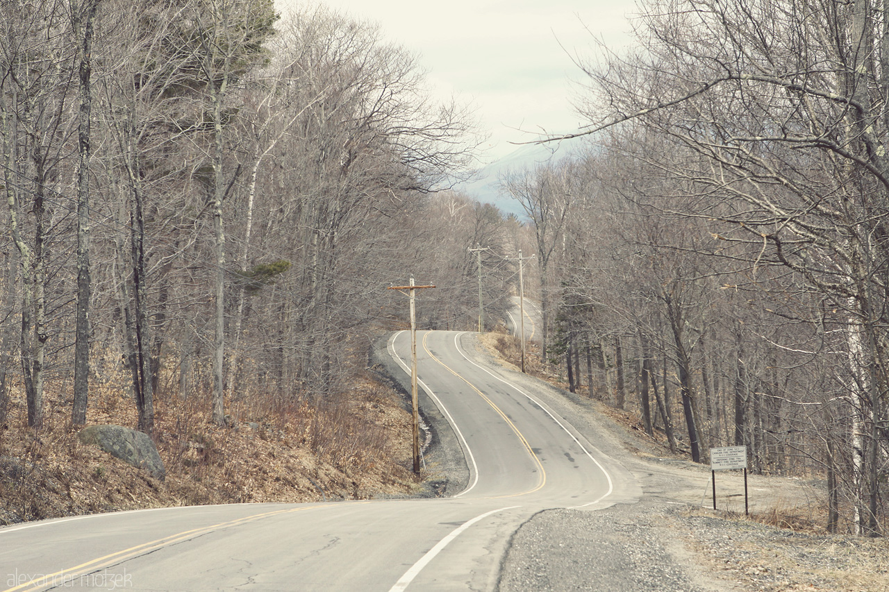 Foto von Geschwungene Straßen durch Wald in den USA