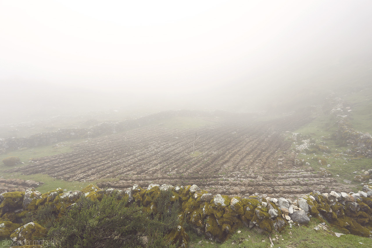 Foto von Feld im Nebel entlang dem Salkantay Trek