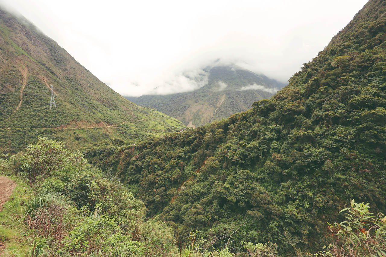 Foto von Jungle auf dem Salkantay trek nachdem der Salkantay Pass überwunden wurde