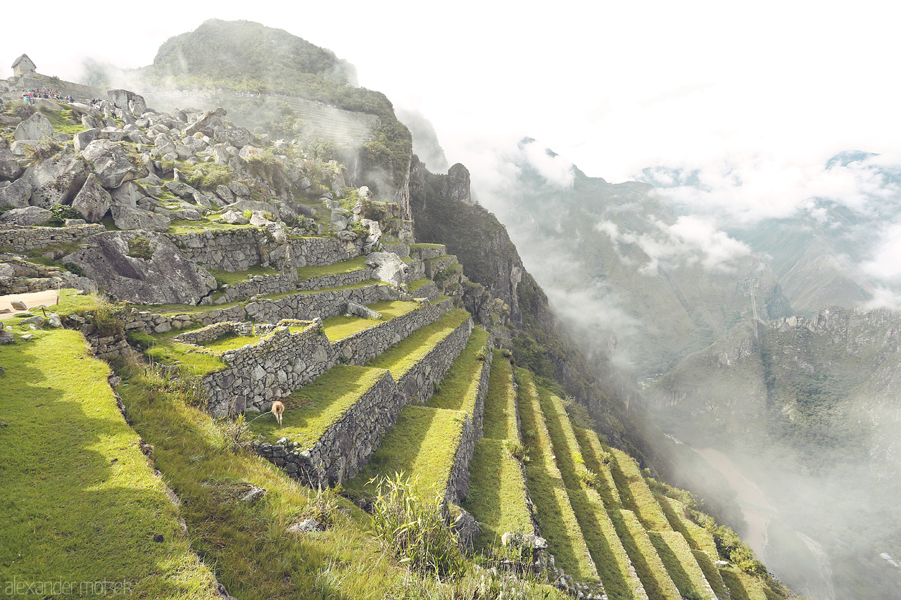 Foto von Treppen der Maya auf Machu Picchu in den Wolken