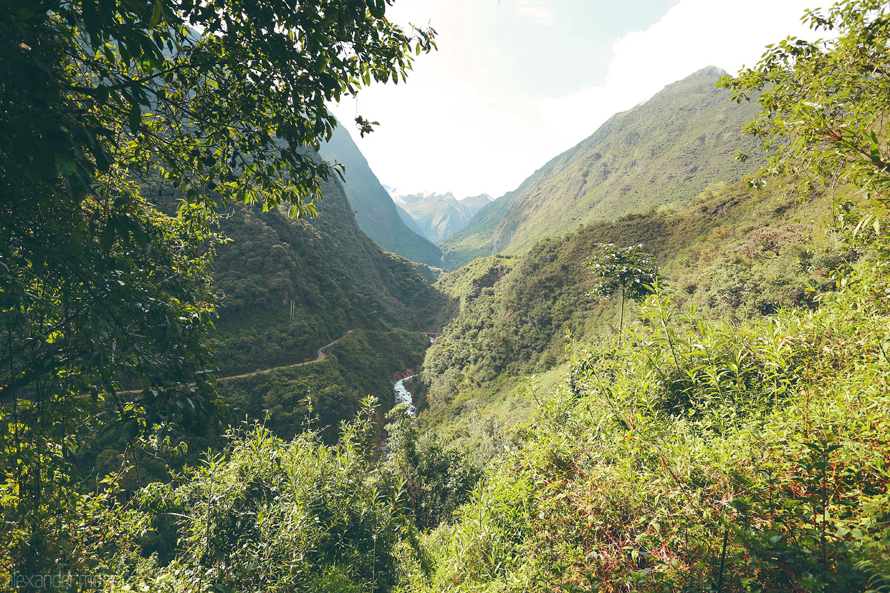 Foto von Urwald entlang dem Salkantay Trek