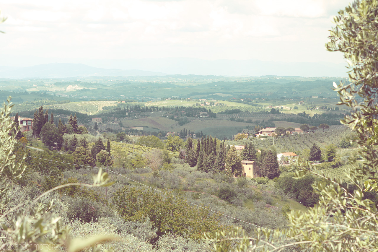Toscana Sfumature Foto von Rolling hills in Tuscany, Italy blend shades of green, dotted with cypress trees and classic, rustic villas. A serene panorama of endless beauty.