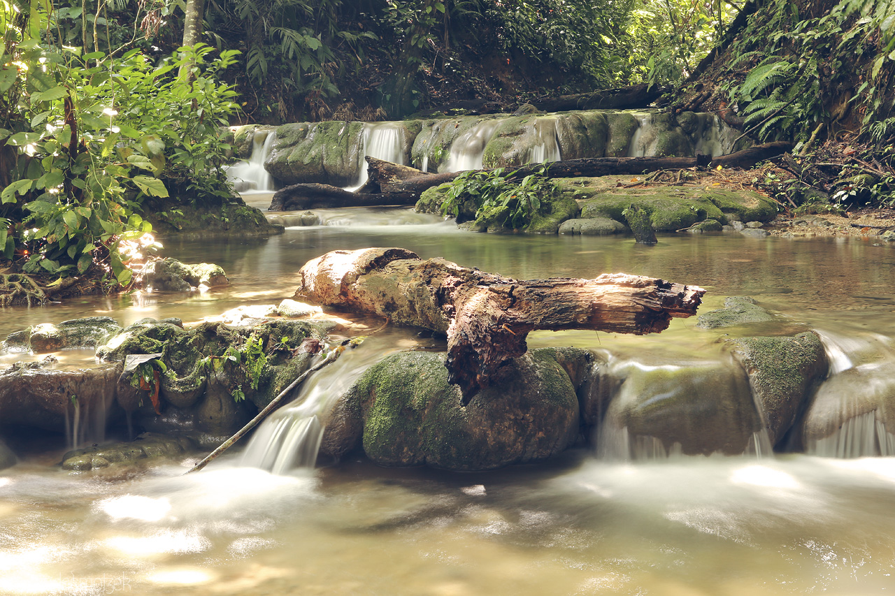 Palenque Páramo Foto von Serene cascades amid the lush foliage of Palenque, Chiapas. Nature's tranquil symphony.