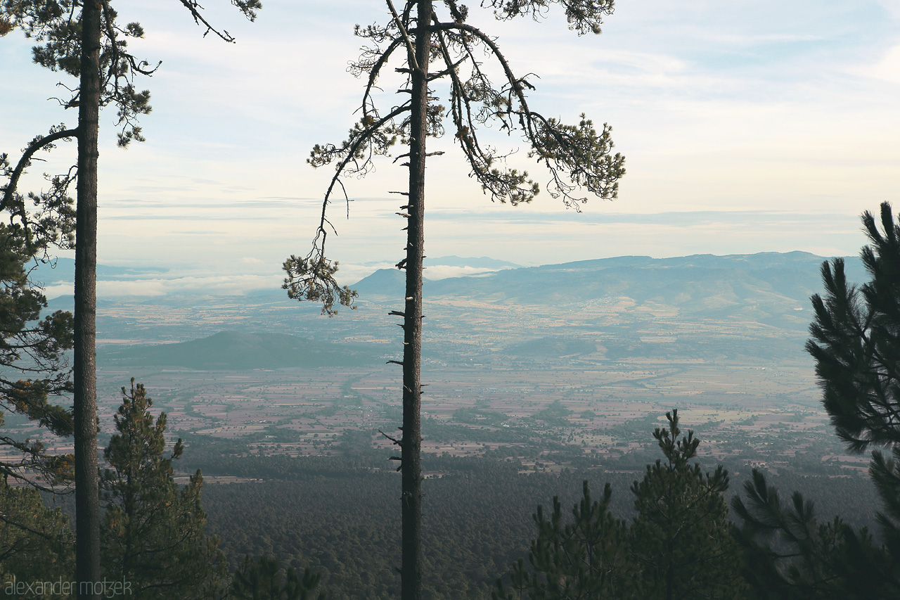 Malinche's Whisper Foto von Serene view through pines over Puebla's plains from La Malinche's slopes.