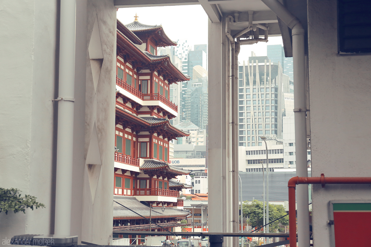 Foto von A peaceful pagoda stands in contrast to modern skyscrapers in Singapore's Chinatown, capturing the confluence of tradition and urban life.