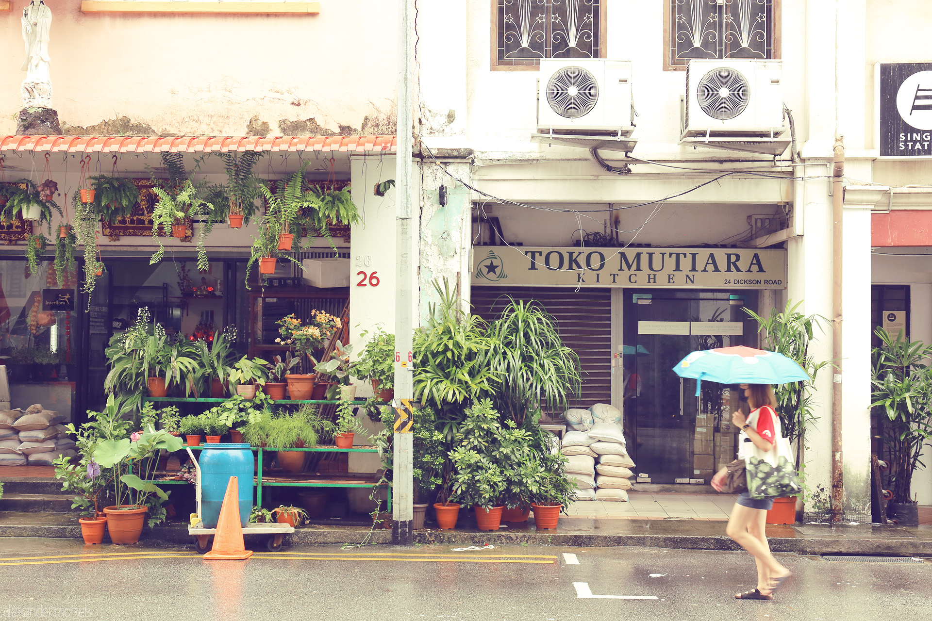 Hujan di Jalan Dickson Foto von A rainy stroll past lush potted plants and the Toko Mutiara shop on Dickson Road, Little India, Singapore.