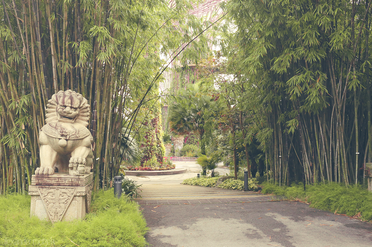 Foto von A serene garden path in Singapore, flanked by towering bamboo and guarded by a majestic stone lion statue.