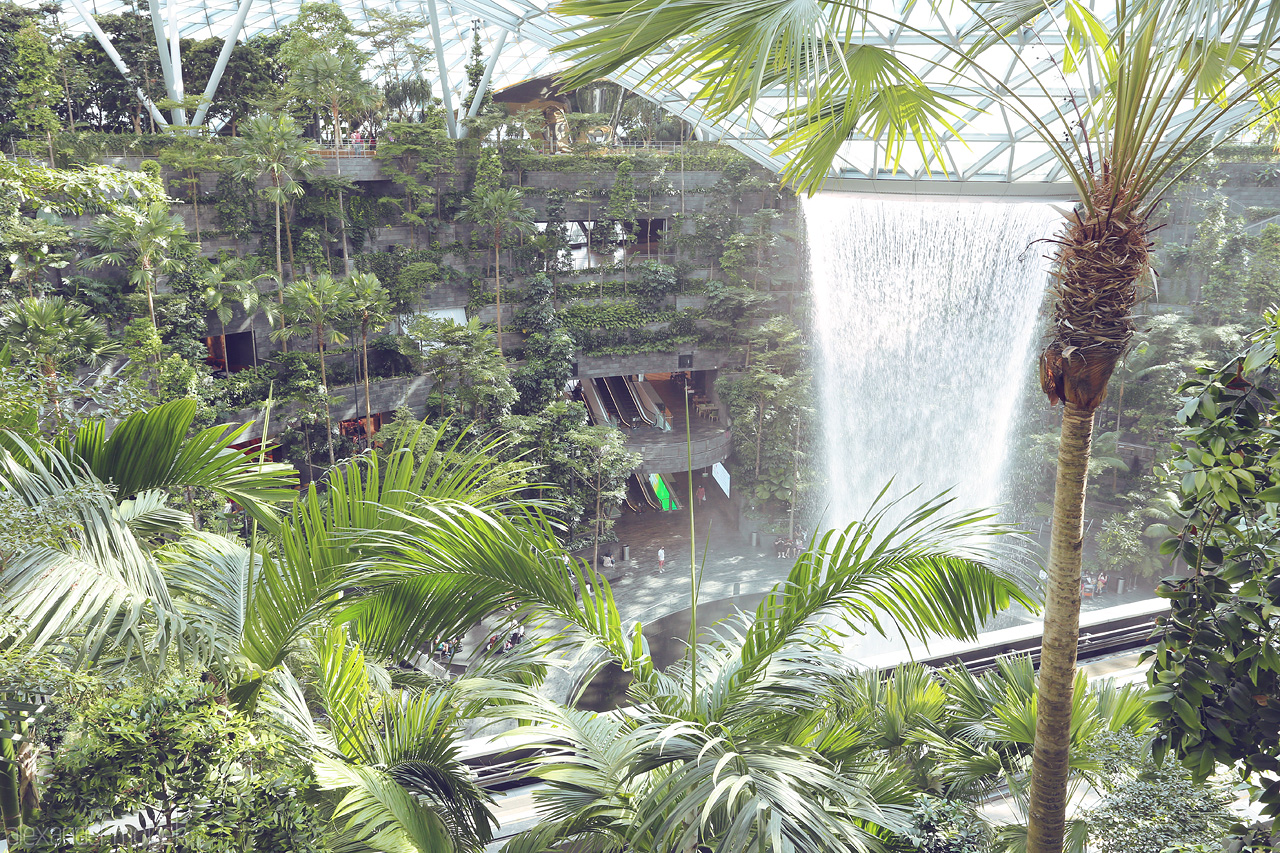 Foto von Changi Airport’s lush garden encloses a majestic waterfall, blending nature and architecture in a serene tropical landscape.