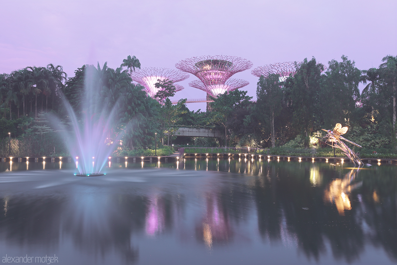 Foto von The ethereal Supertree Grove in Singapore glows against the twilight sky, reflecting in the serene pond below, creating a magical urban oasis.