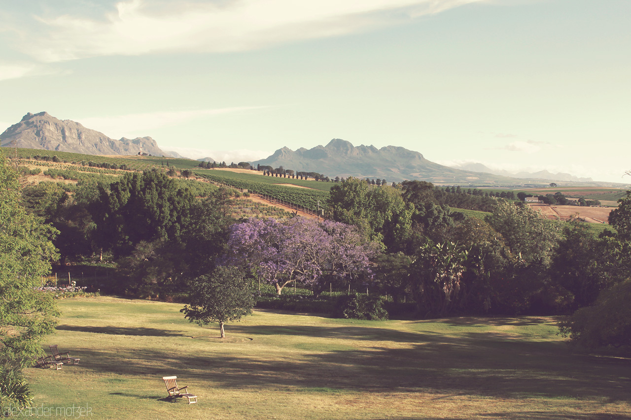 Foto von Blick auf das Devon Valley in Stellenbosch, Südafrika aus dem wunderschönen Devon Valley Hotel
