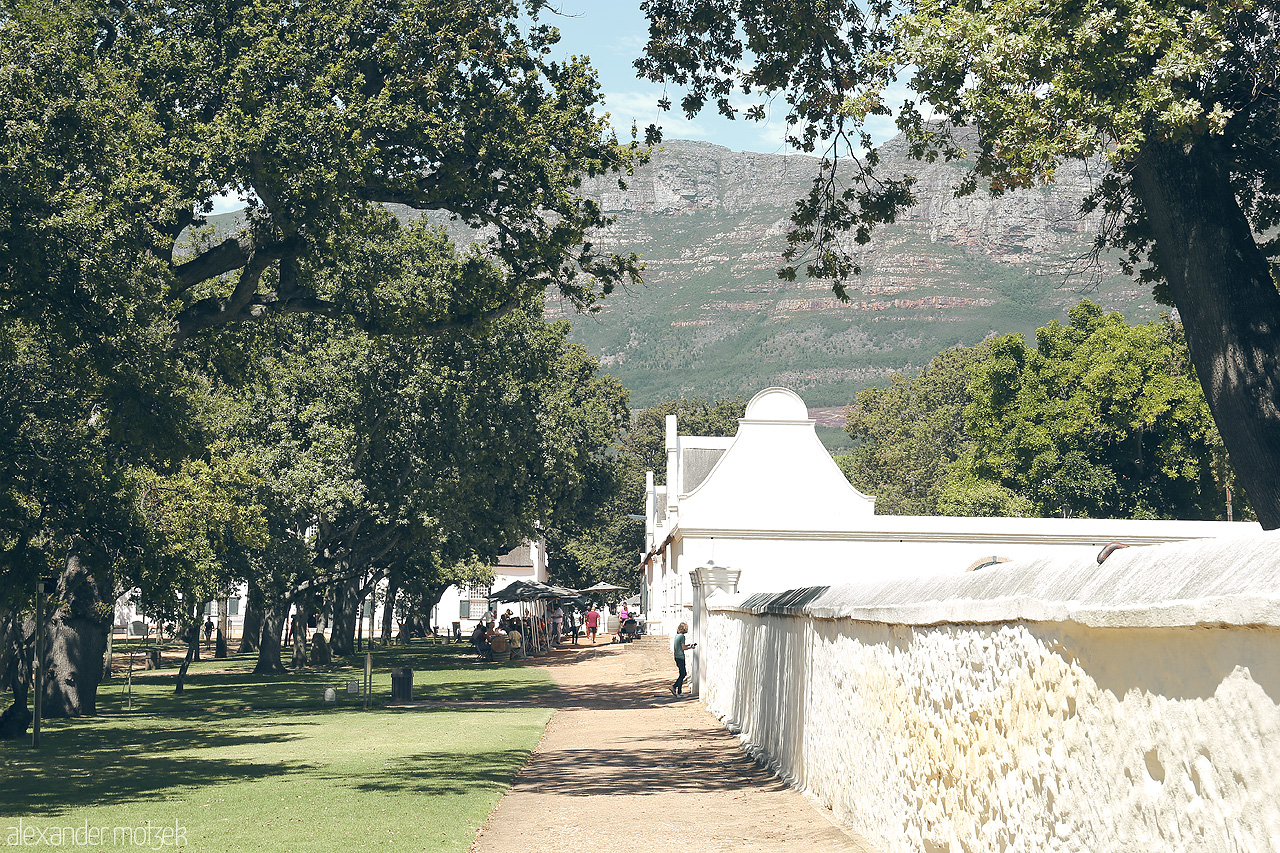 Foto von Explore the tranquil charm of Constantia, where lush greenery meets historic Cape Dutch architecture under majestic mountains.