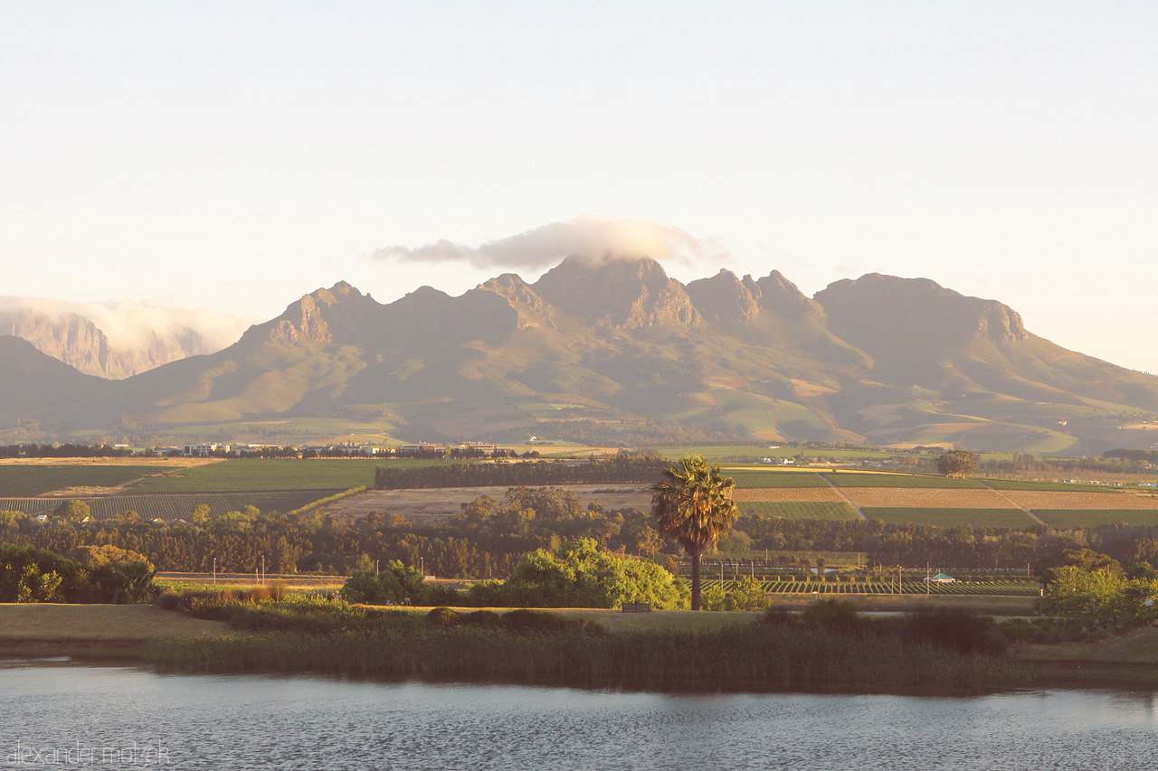 Foto von Weinreben und Felder vor den Hottentots-Holland Bergen in Stellenbosch, Südafrika