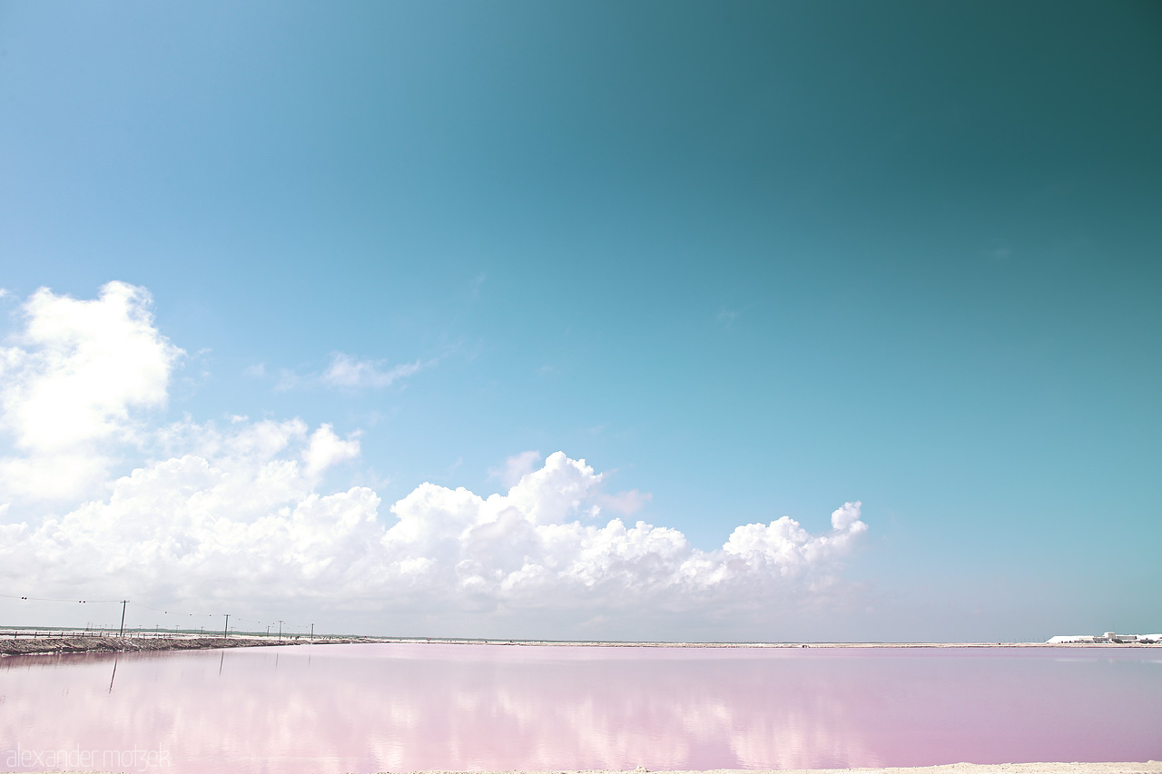 Cielo Rosado Foto von Stark contrasts over Rio Lagartos' pink salt lakes with a piercing blue sky