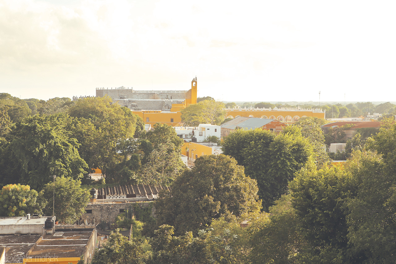 Izamal Dorado Foto von Sunlit treetops fronting Izamal's iconic yellow architecture, a serene dawn in Yucatán.