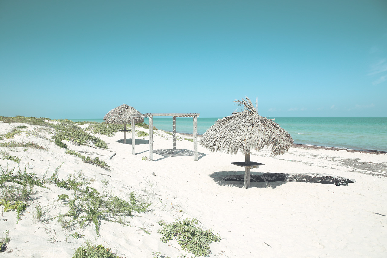 Lagartos Solace Foto von Thatch-roofed shelters dot the tranquil white sands of Río Lagartos, Yucatán, facing serene turquoise waters.