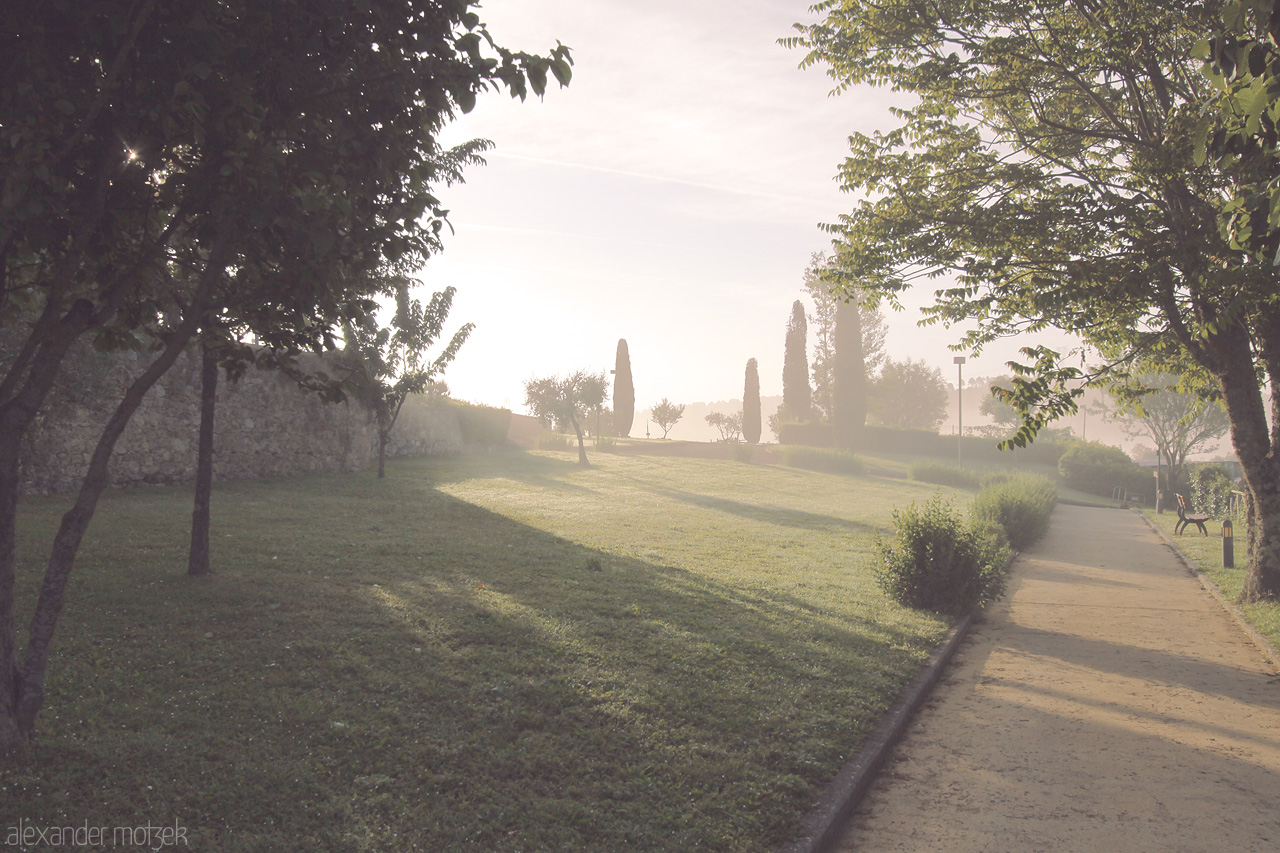 Foto von A serene Tuscan morning with soft sunlight over lush greenery and ancient cypress trees.