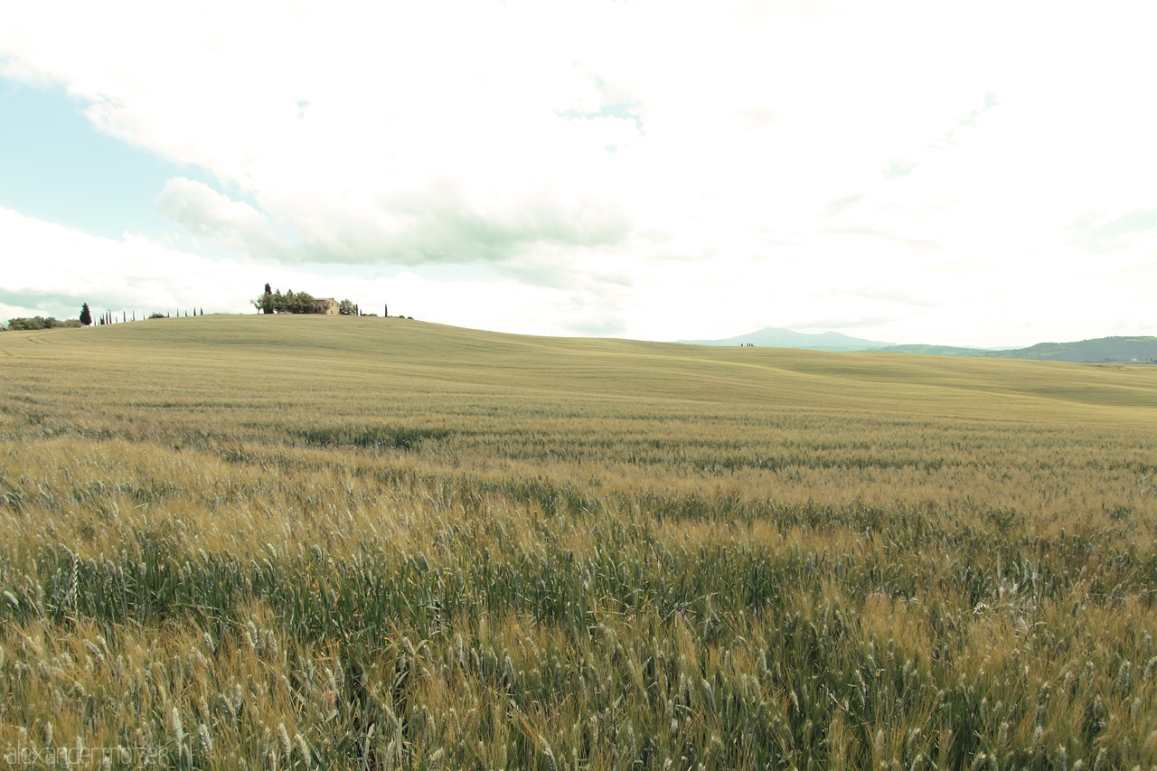 Foto von Gentle rolling fields stretch across Tuscany, capturing the serene and boundless beauty of the Italian countryside under a vast, whispering sky.