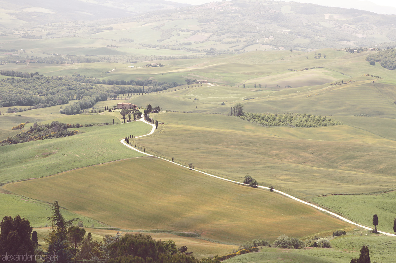 Foto von Rolling Tuscan hills with a winding road, lush green fields, and scattered cypress trees under a soft, hazy sky.