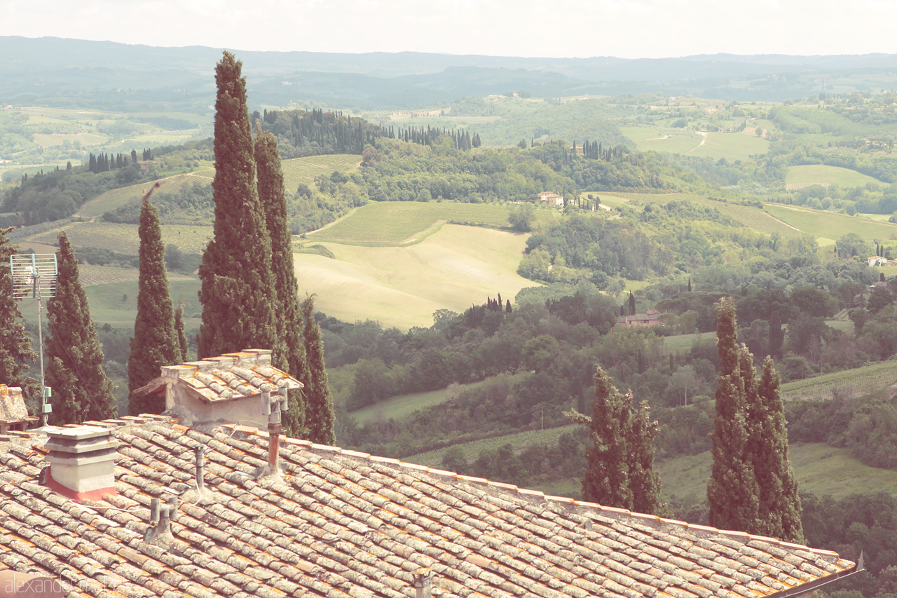 Foto von Rolling hills and cypress trees under the Tuscan sun, a tranquil landscape captured in Italy's quintessential countryside.