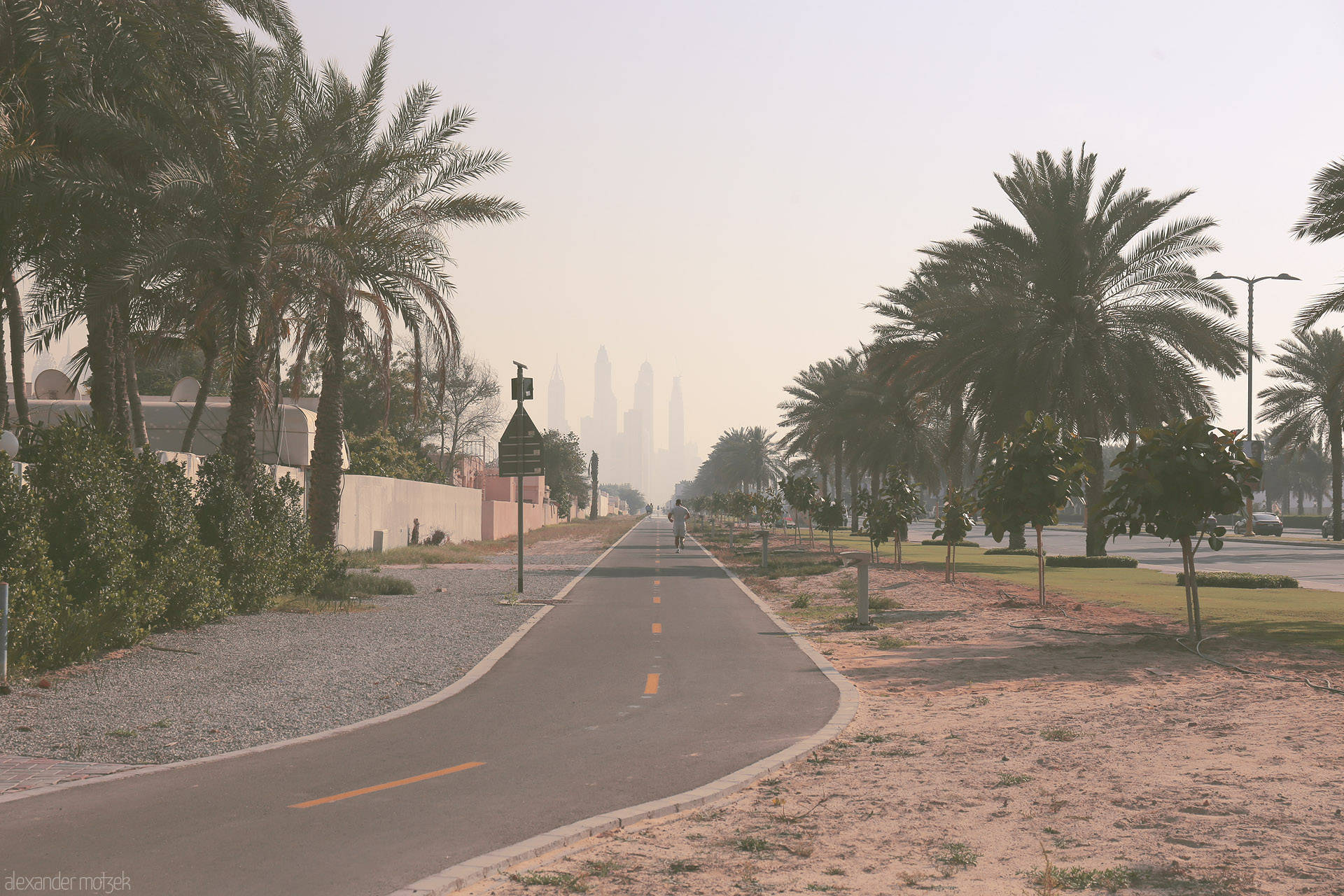 Foto von A quiet path lined with palms leads to hazy Dubai towers, blending serene desert and futuristic skyline in the morning mist.