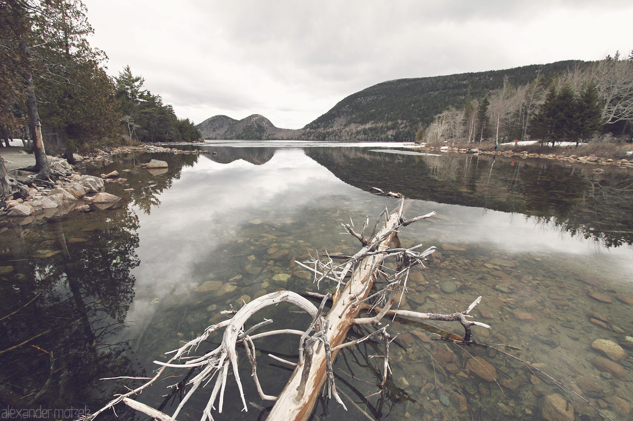 Foto von Gefrorener See mit Schnee im Acada Nationalpark