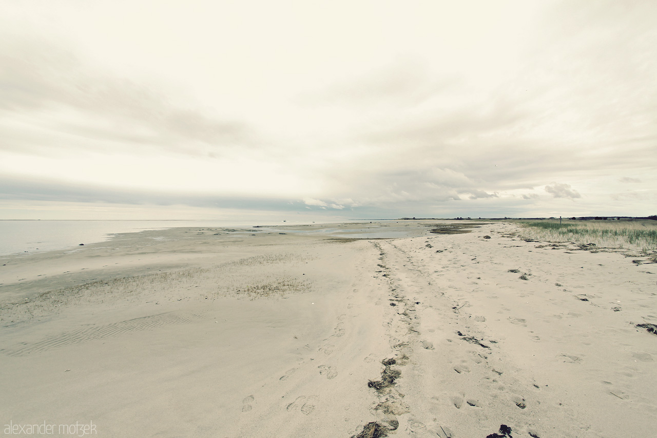 Foto von Strand von Cape Cod