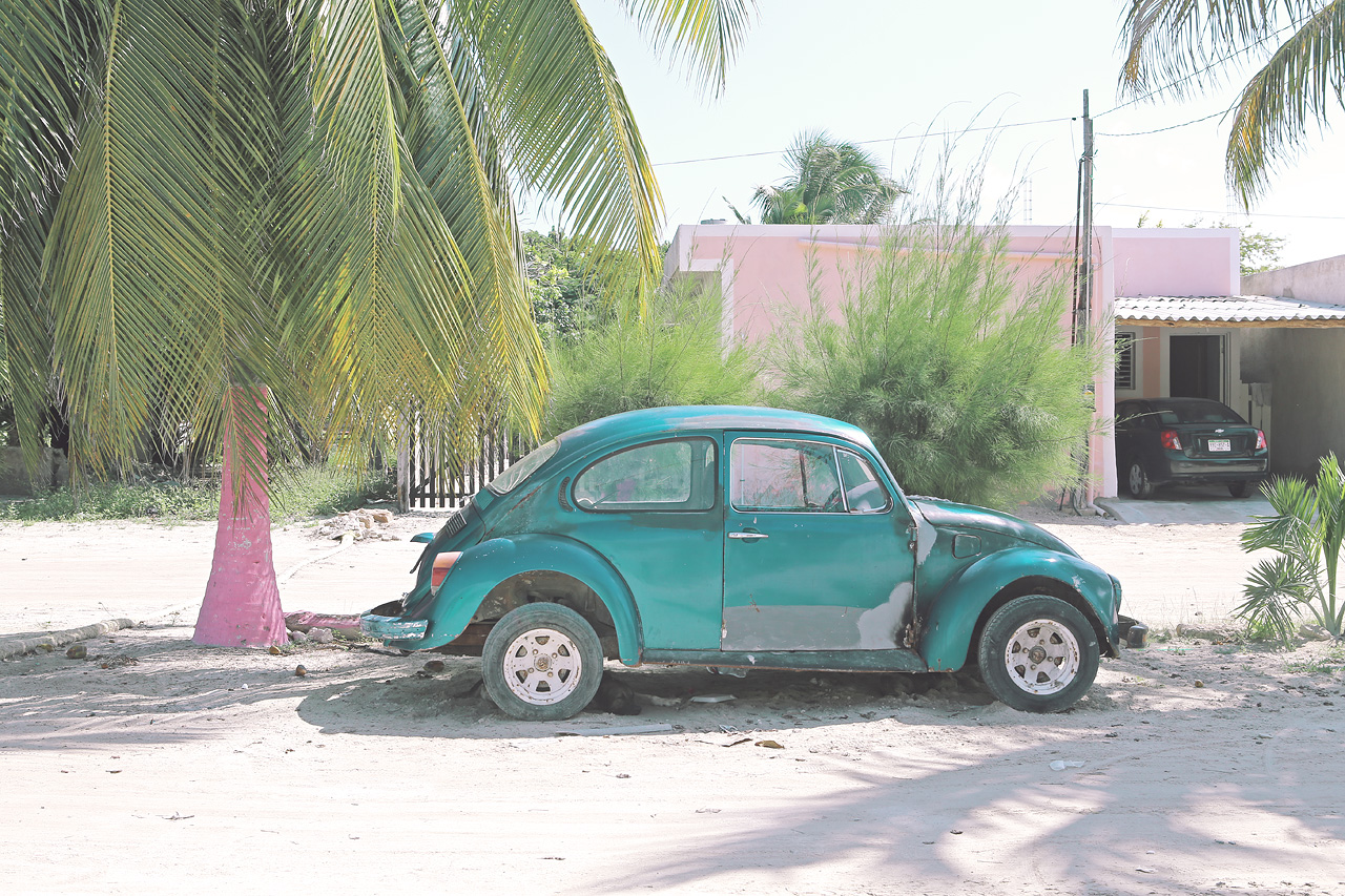 Lagartos Relic Foto von Vintage green Volkswagen Beetle decays beneath palm shade in Río Lagartos, Mexico's tranquil setting