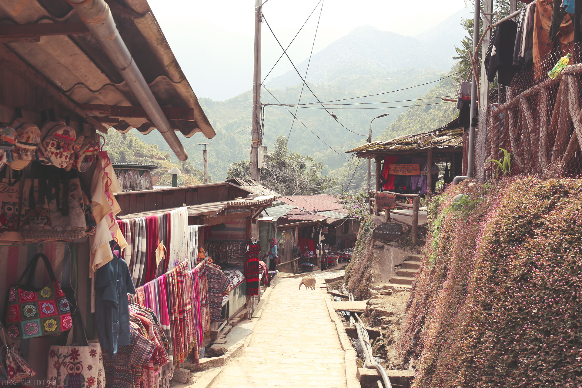 Foto von Warm sunlight falls on Sapa’s market alley, bursting with H’mong textiles, mountain air, and quiet village charm.